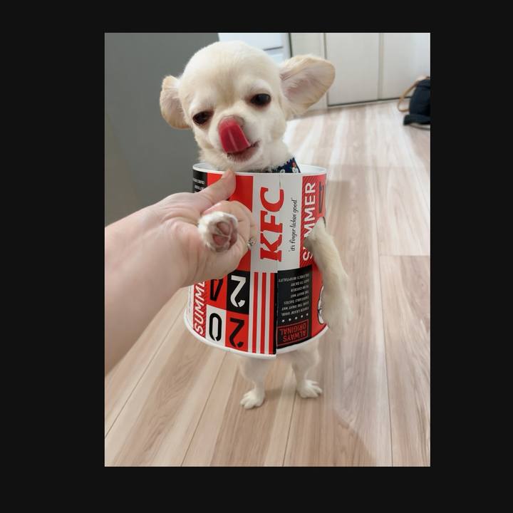 F33989f5 422f 4c32 a322 dc45d169c2f0 1723294827956