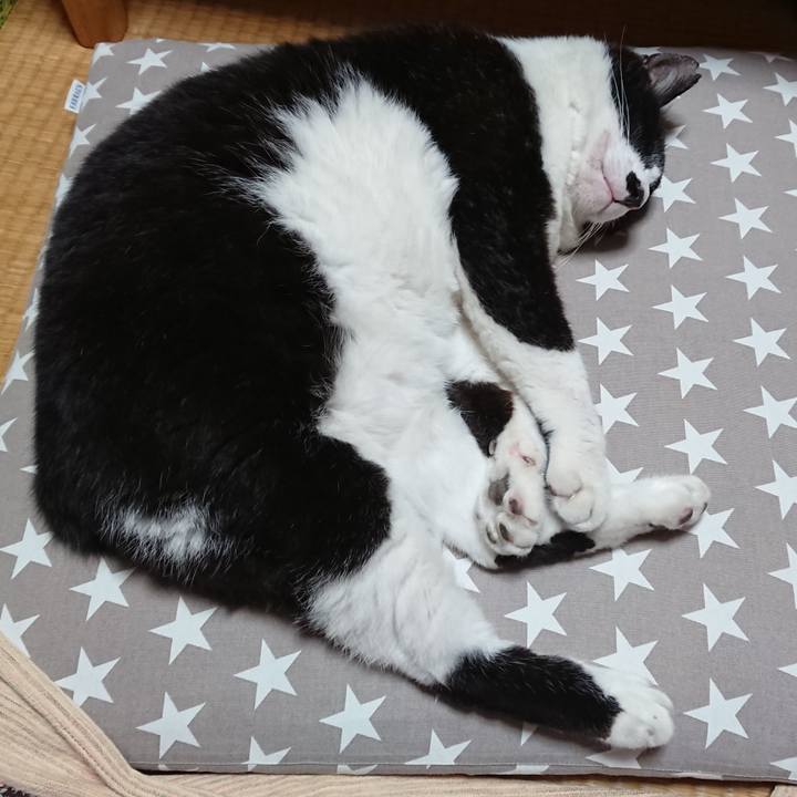 F339cdbd ac79 44ac bb06 67175865cb23 1632739388145