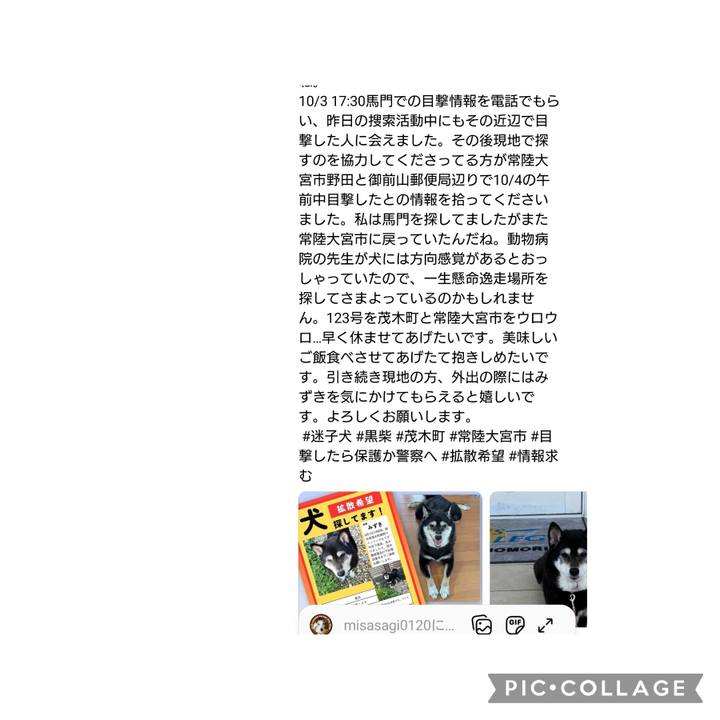 F339dcee 5110 43bf ae00 e483a0db24b5 1759704523751