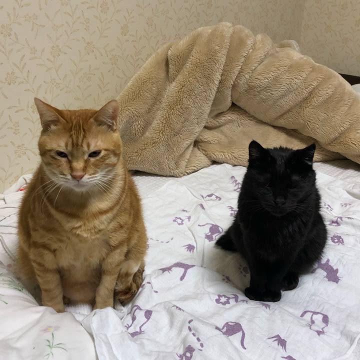 F33a44fb b684 4244 9d4d 596d854804a5 1574976439135