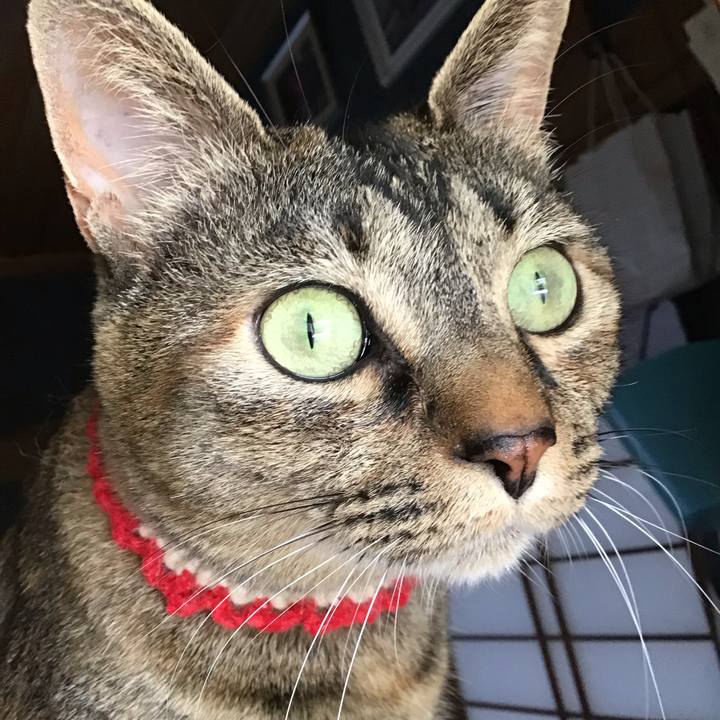 F33a4f78 bd5c 47d5 a190 d2f8d7ac3728 1684389630239