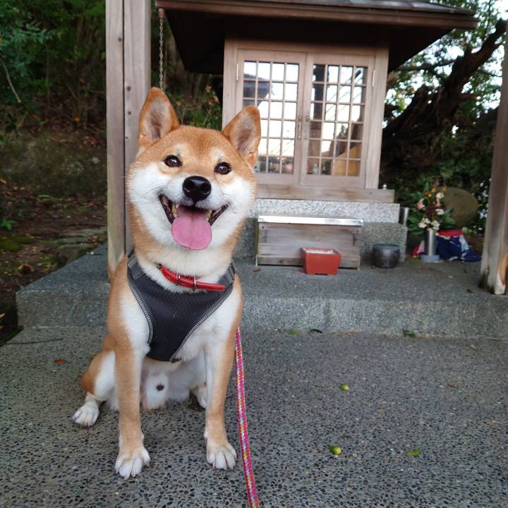 F33a8283 e7e3 443e 88c9 97e56fde07a8 1762134525059