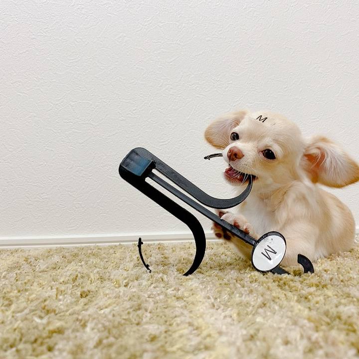 F33af018 c1fe 4839 aad4 165c3c94398a 1597048675234