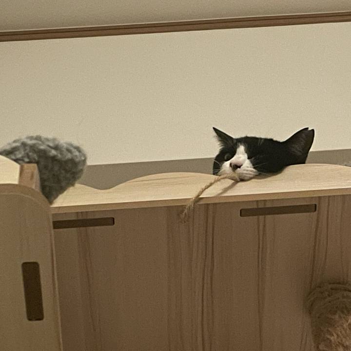 F33af19c 9ad8 4127 8742 312d658996ee 1710334079221