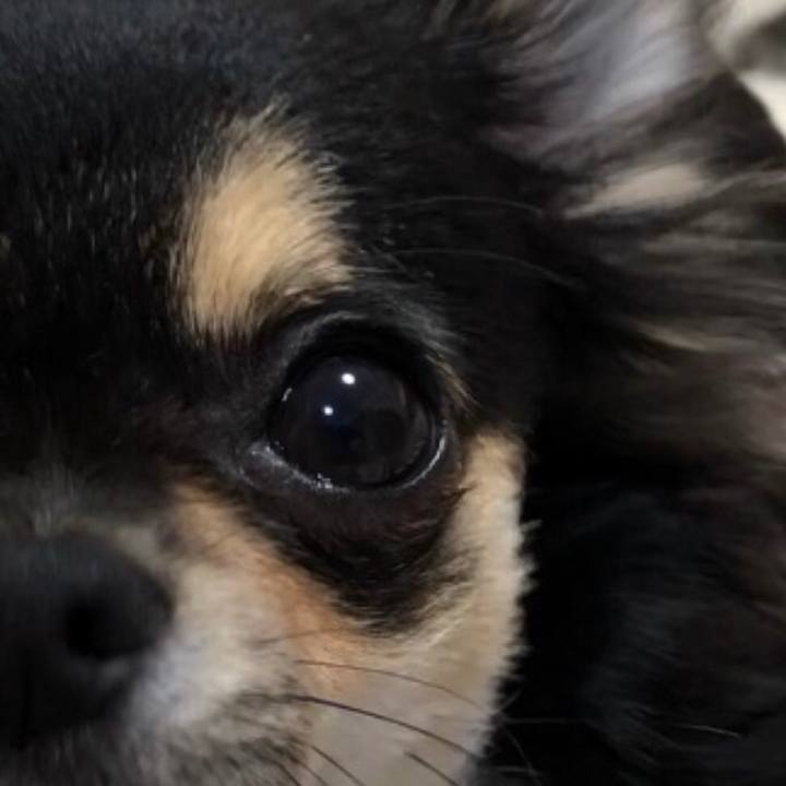 F33b4c2d e9aa 482f b485 a872b27fef27 1570356941525