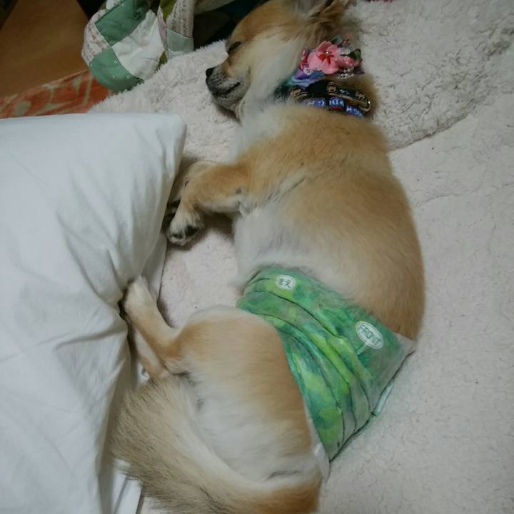 F33b69d4 9b78 489d 9bac 683b4a5c311b 1554554570340