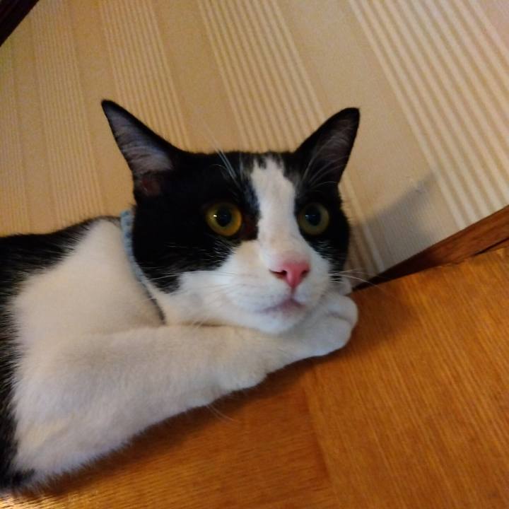 F33b894c ee9a 42e2 ac0b 819086c8cb11 1660265549775