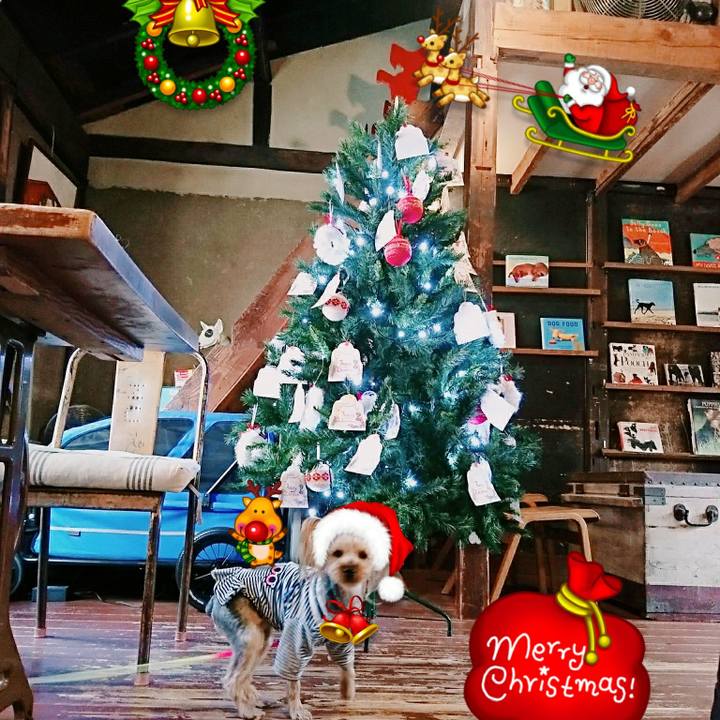 F33b9384 f42a 45ad a84a 9fcc7fa11133 1514104887257