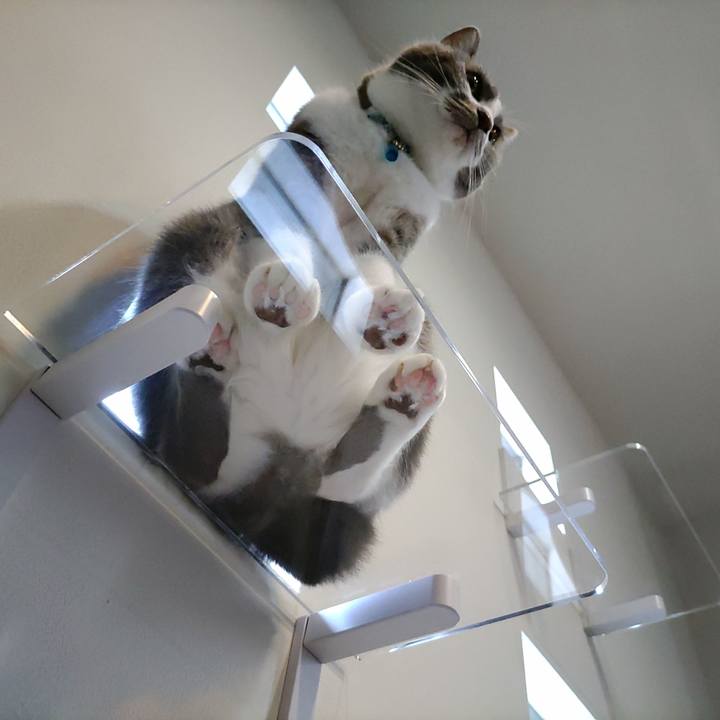 F33ba3a2 c3cd 4352 9eb3 fcf79002571f 1723618563912