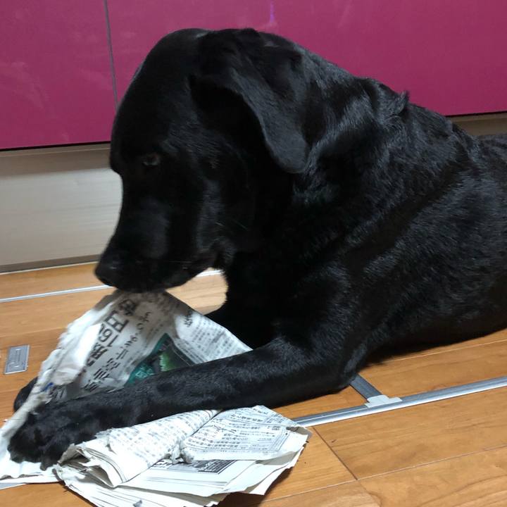 F33bb3d3 1742 4be8 aa3f 6673b35e67fe 1633872957822