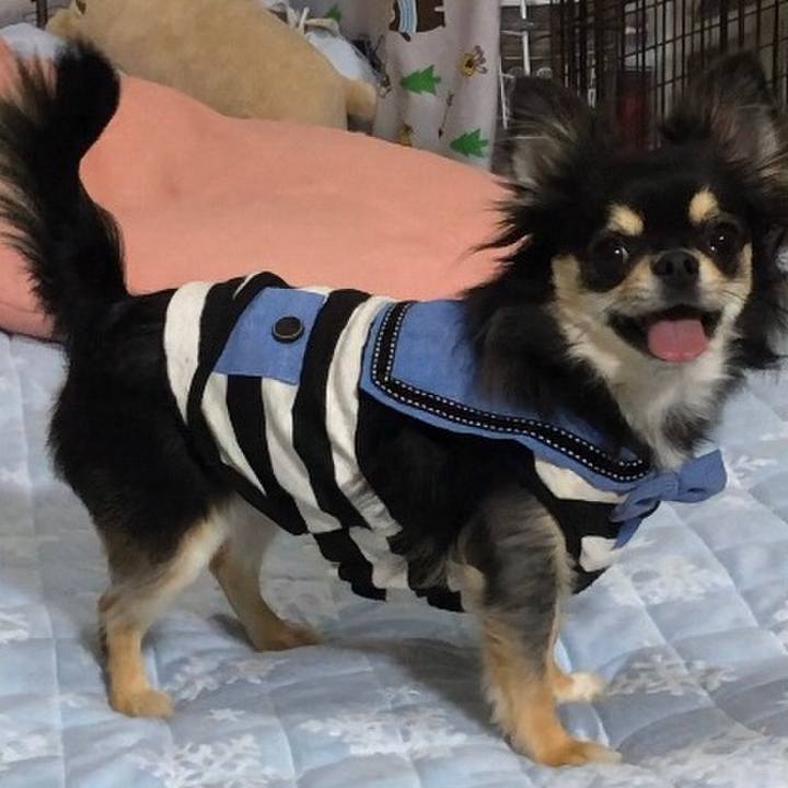 F33bd9a8 0ce3 41ec 8e74 7e824c5e8ab9 1572570514332