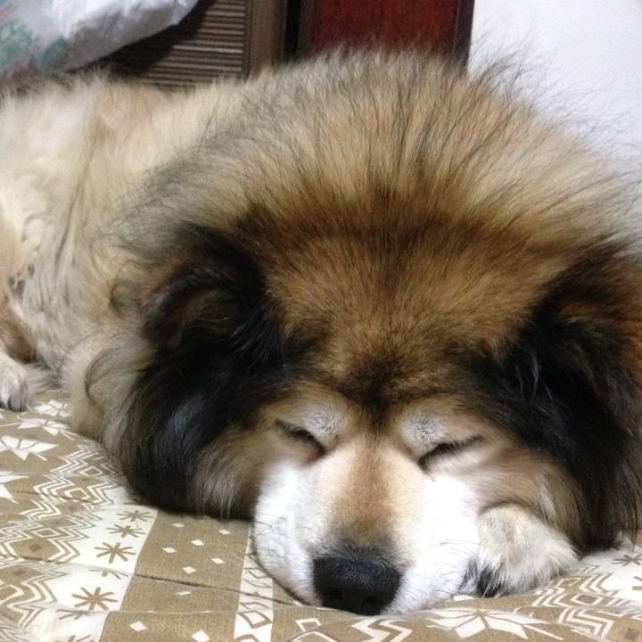 F33bdc44 e7de 41e0 b2d2 26adc241e1c6 1590719622214