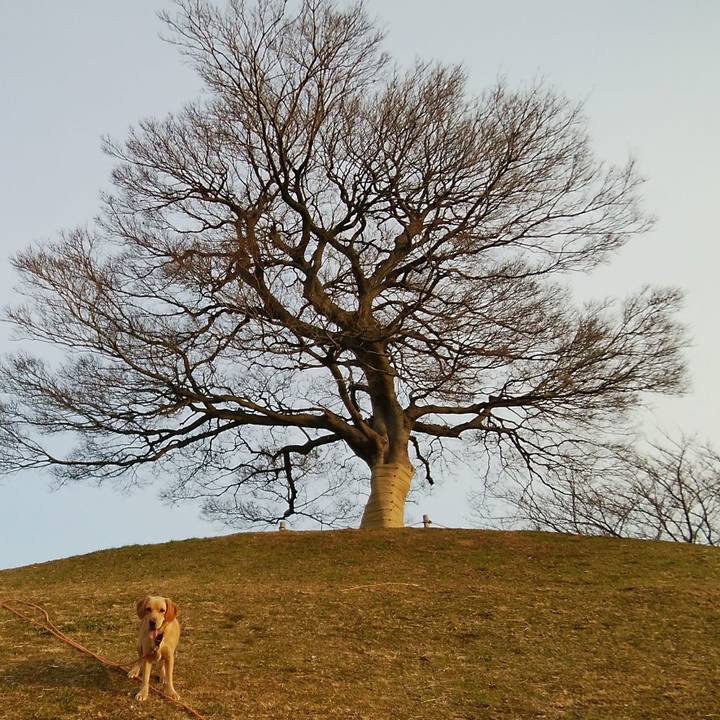 F33c4d54 5c41 4555 bf49 4af82aacd68a 1517443598980