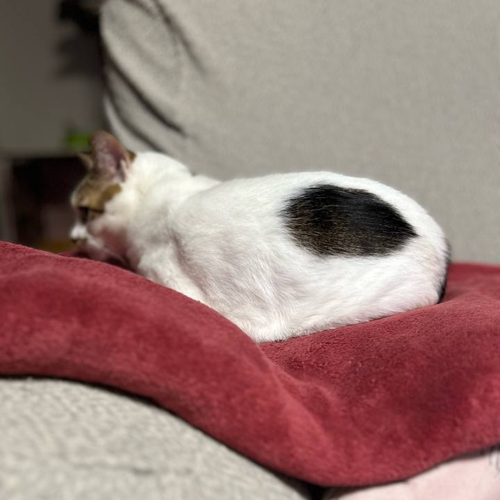 F33c63c2 eb81 468c 8a68 4153a63561af 1761826273504