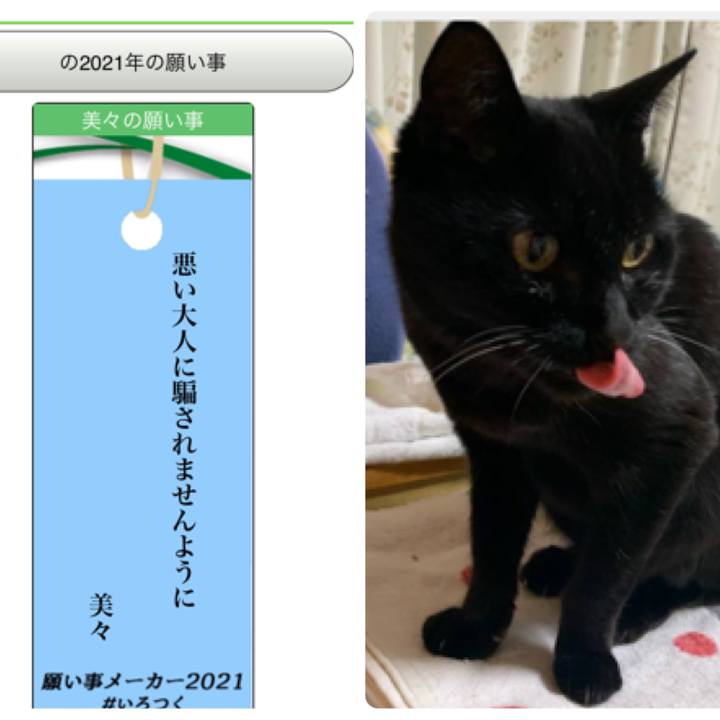 F33c6a8a e7ee 4a68 a3bc 8e2840417c21 1625612358609