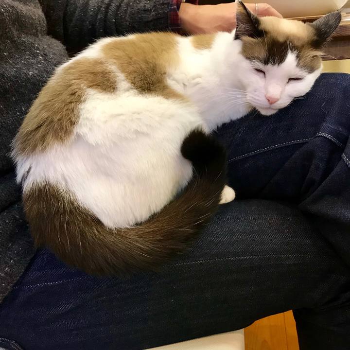 F33c8323 b26b 4280 b832 6c979c626a14 1546080501781