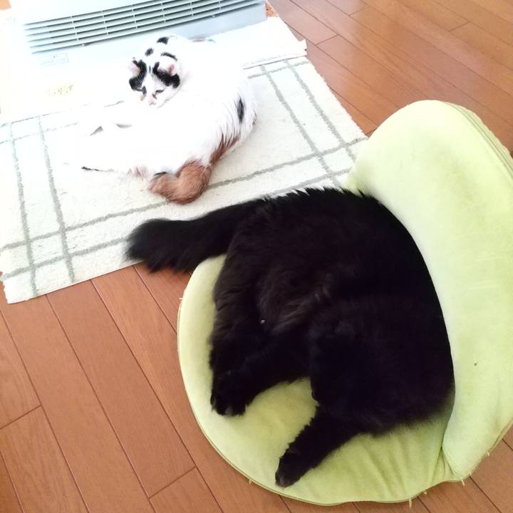 F33ca406 8763 423b b7e3 7516b372cf79 1609975803331