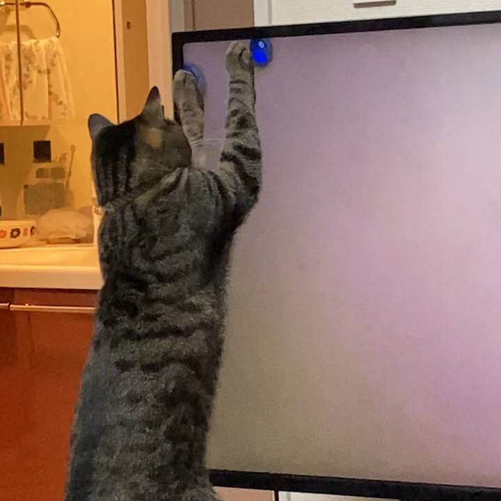 F33cbddd 92e2 425d 9562 5d8774dc9684 1616898015324