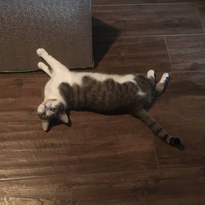 F33cc8cb 1271 49bc b5ab 20ee20d6c0f6 1657933462832