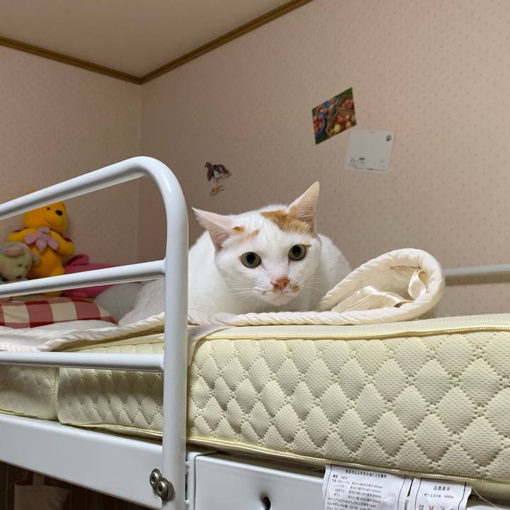 F33cd1f1 996a 4dc4 832d 2ca35ca7dcc6 1599925384039