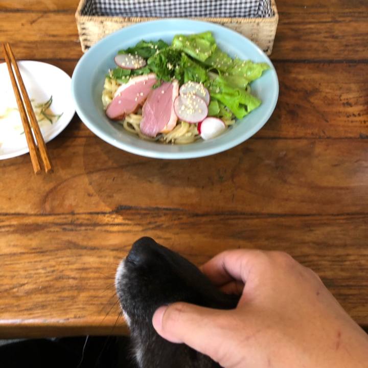 F33ce336 af06 481a 9bf8 68c73b0de096 1558673787530