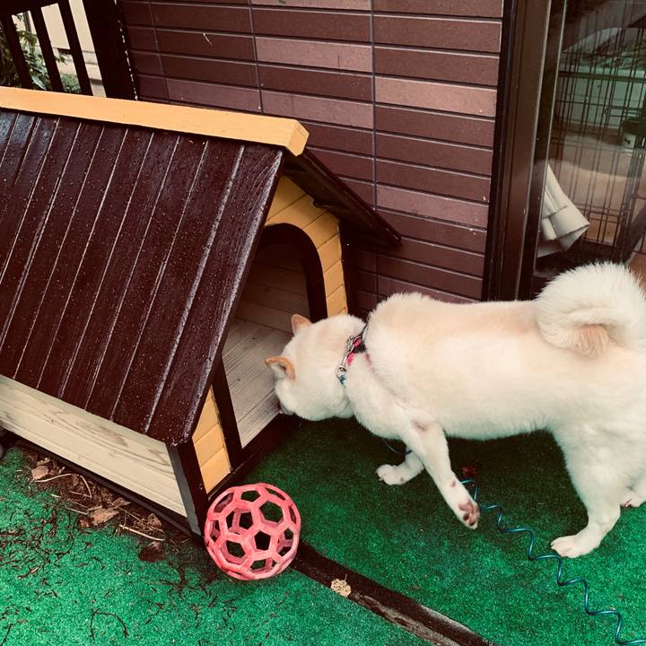 F33d2f3c 30d4 4e56 b746 c9c64d5d529c 1601069841501