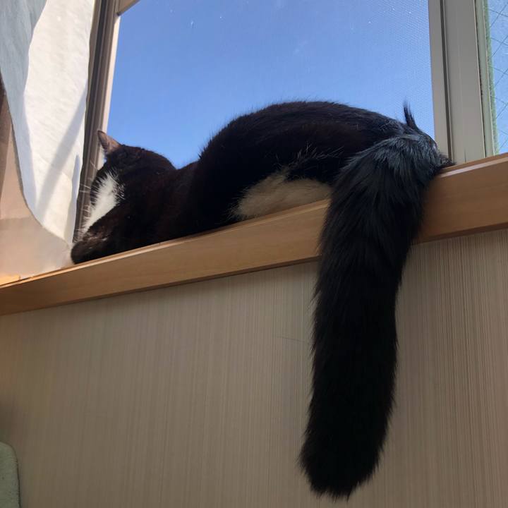 F33d76f6 4425 4ca8 a9ce 795d957e5838 1647637130813