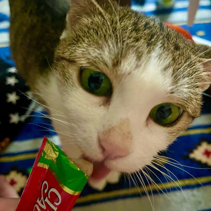 F33da854 a2b8 4032 aac0 8e1767b4ed2b 1628154197942