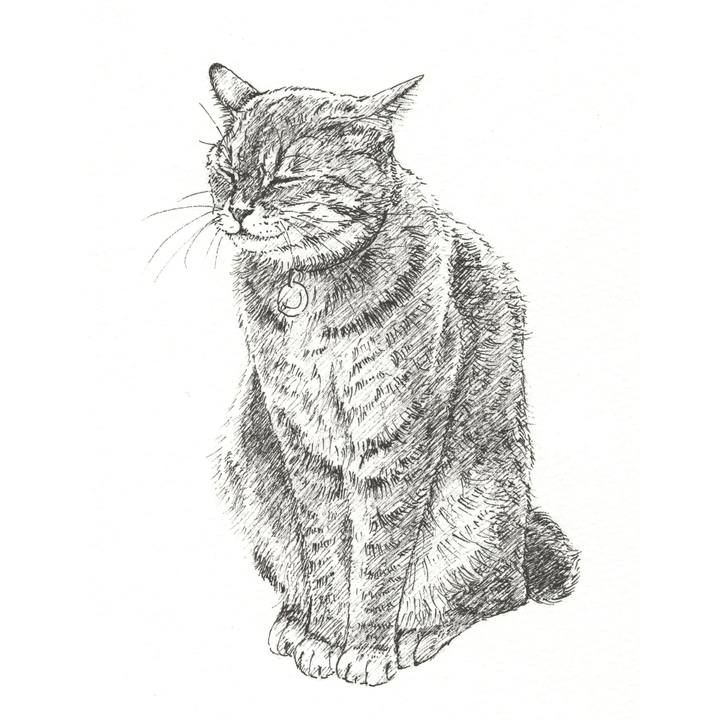 F33dfc8d 95e8 4feb adae 21f230034ab4 1562857108222