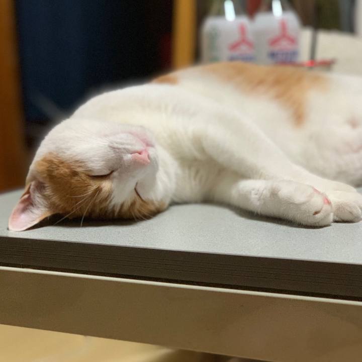 F33e3637 01d2 44d7 b75d ad95a9b8e4ce 1563727871912