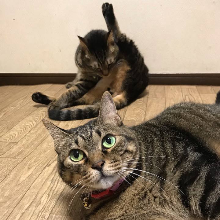 F33e3c9c c944 4fc7 a4b8 68b61bf5fa72 1628343690381