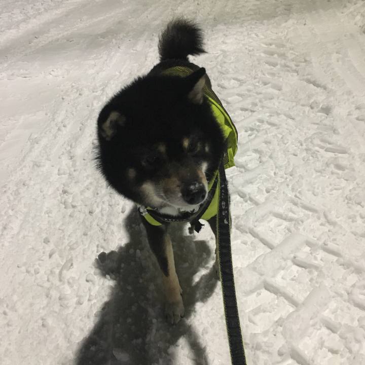 F33e6f35 1ec8 4272 a7de 91289e2cdcfd 1516776514032