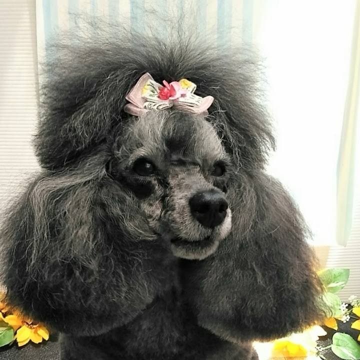 F33e9d79 3ca5 4af3 ade1 630edd908556 1753167438504