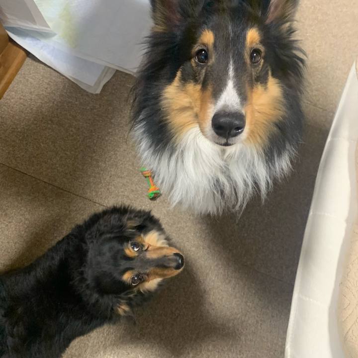 F33eb690 ca83 43ef b900 a655a40649c1 1580852629154