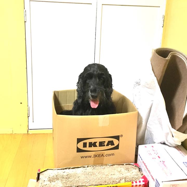 F33eba05 b3cd 4c64 a178 819646afabf8 1535112188490