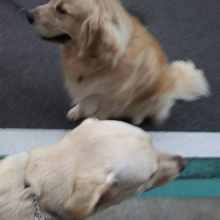 F33ee088 91e5 4750 b873 97de2e502891 1537263345661