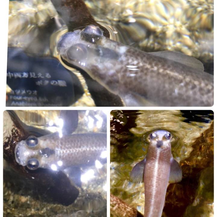 F33eeb60 9c0e 4af8 87aa 191844326568 1519773289951