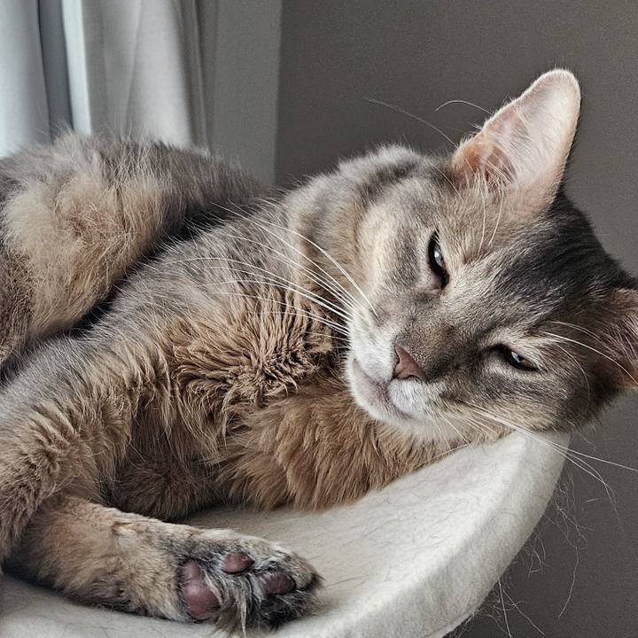 F33f1a37 d862 4e00 8c71 fdd60d47b42a 1749169300369