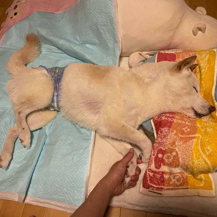 F33f2563 77c3 468b 8c83 4efc9c063f56 1662312431879