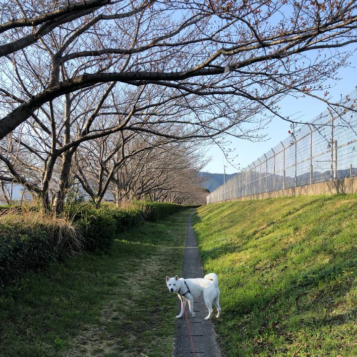 F33f5eb5 cf39 4a31 bea9 db9b3ca98534 1553560261380