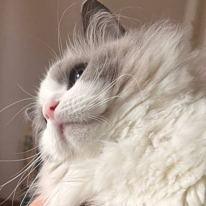 F33f5f53 f248 46aa ad45 9ed1d9e7e7c7 1723119456546