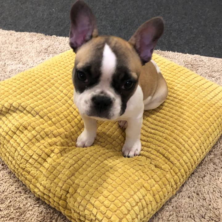 F33f6ad1 e913 4178 80b2 92102effc7b0 1557244819463