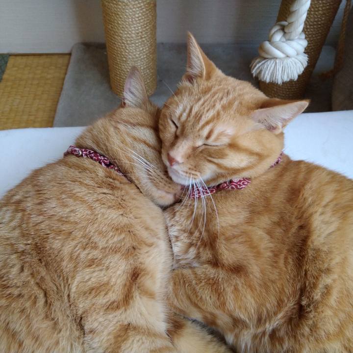 F33f75af aa0f 4e4d 97bb ac6ce5dd216e 1628063004362