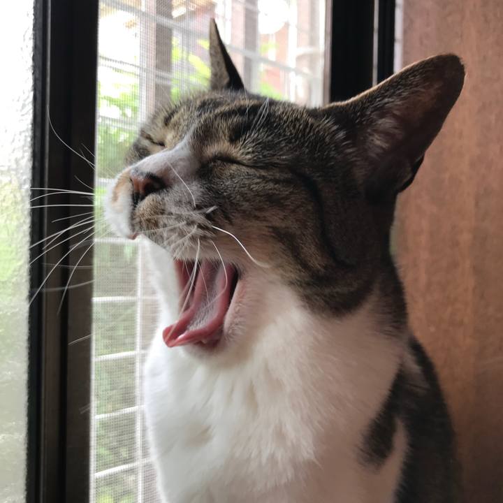 F33f8335 f889 4e36 9744 d3be6b6967ea 1528679888352