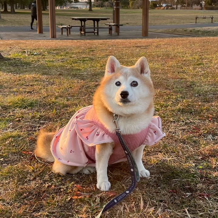 F33f8833 634d 4af3 80cb 86035a138ccc 1675602787303