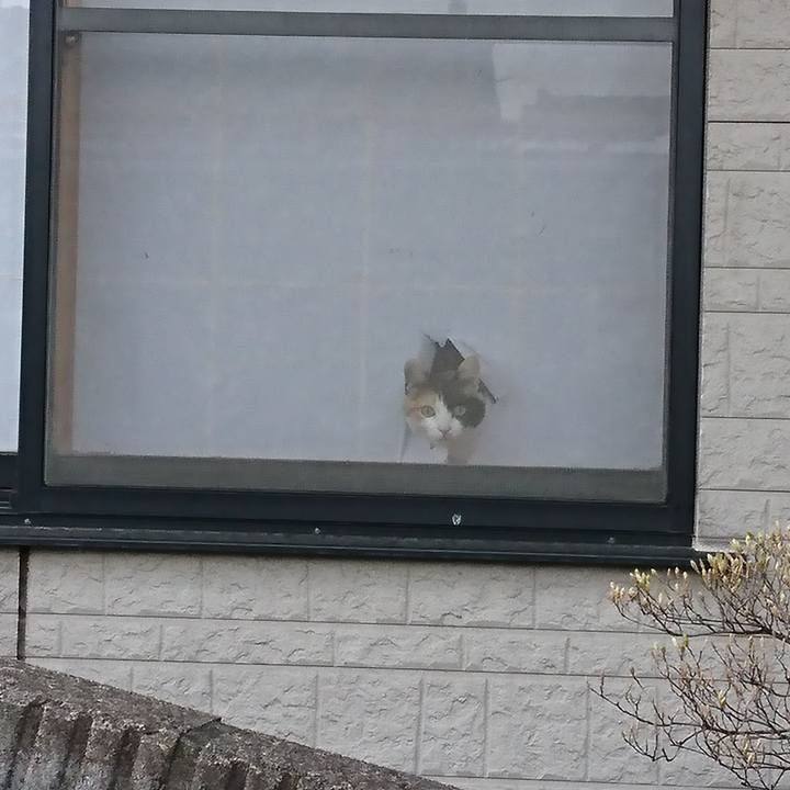 F33fa30a 1d8b 42bc b14c 6a3808f82091 1523246342424