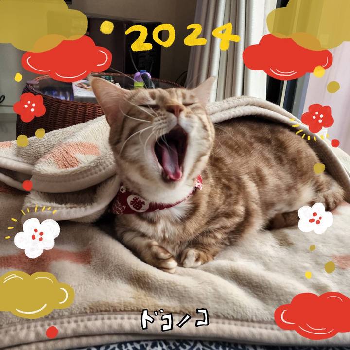 F33fd206 6686 4ebe 9052 0b7e9b61dfbe 1704160831810