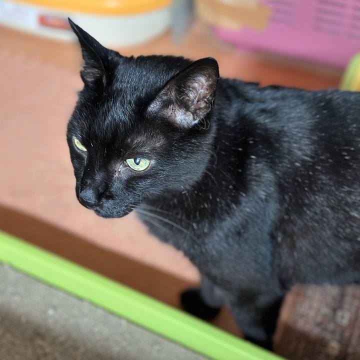 F33fd388 d06a 46cf 9c1a e489a322397c 1691802084416