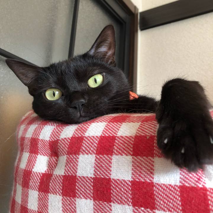 F33fdafb 9669 4ce4 97fc 3ed5fb960b4b 1550973936457