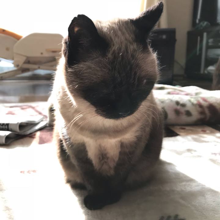 F33fe446 93f1 40b6 bebd a31f0a01d1ce 1541636834639